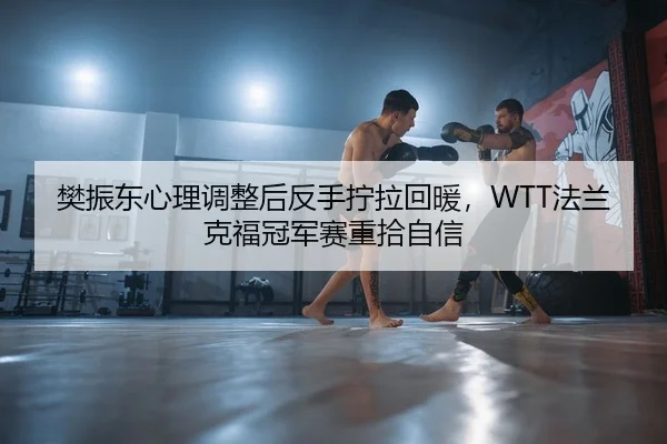 樊振东心理调整后反手拧拉回暖，WTT法兰克福冠军赛重拾自信